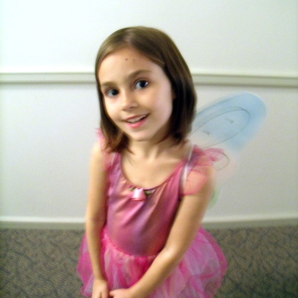 fairy princess Halloween costume