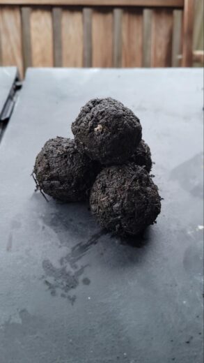 Seed bombs from Hess Un-academy.