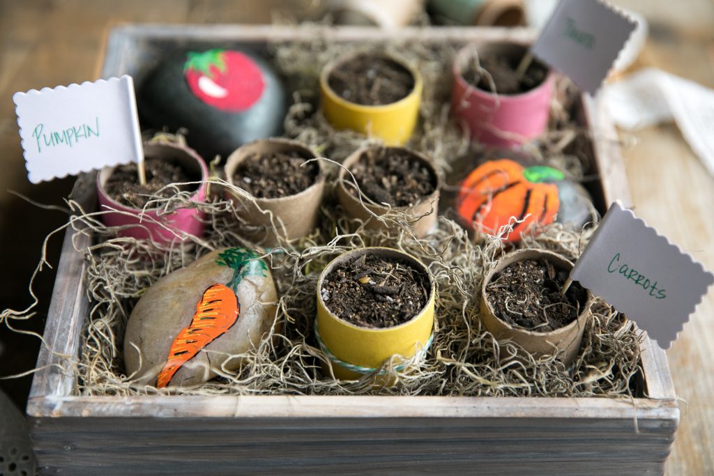 Toilet roll seedling pots from The Forked Spoon.