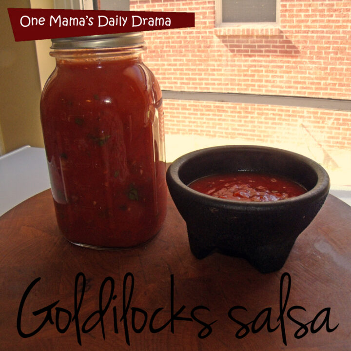 Goldilocks salsa | One Mama's Daily Drama