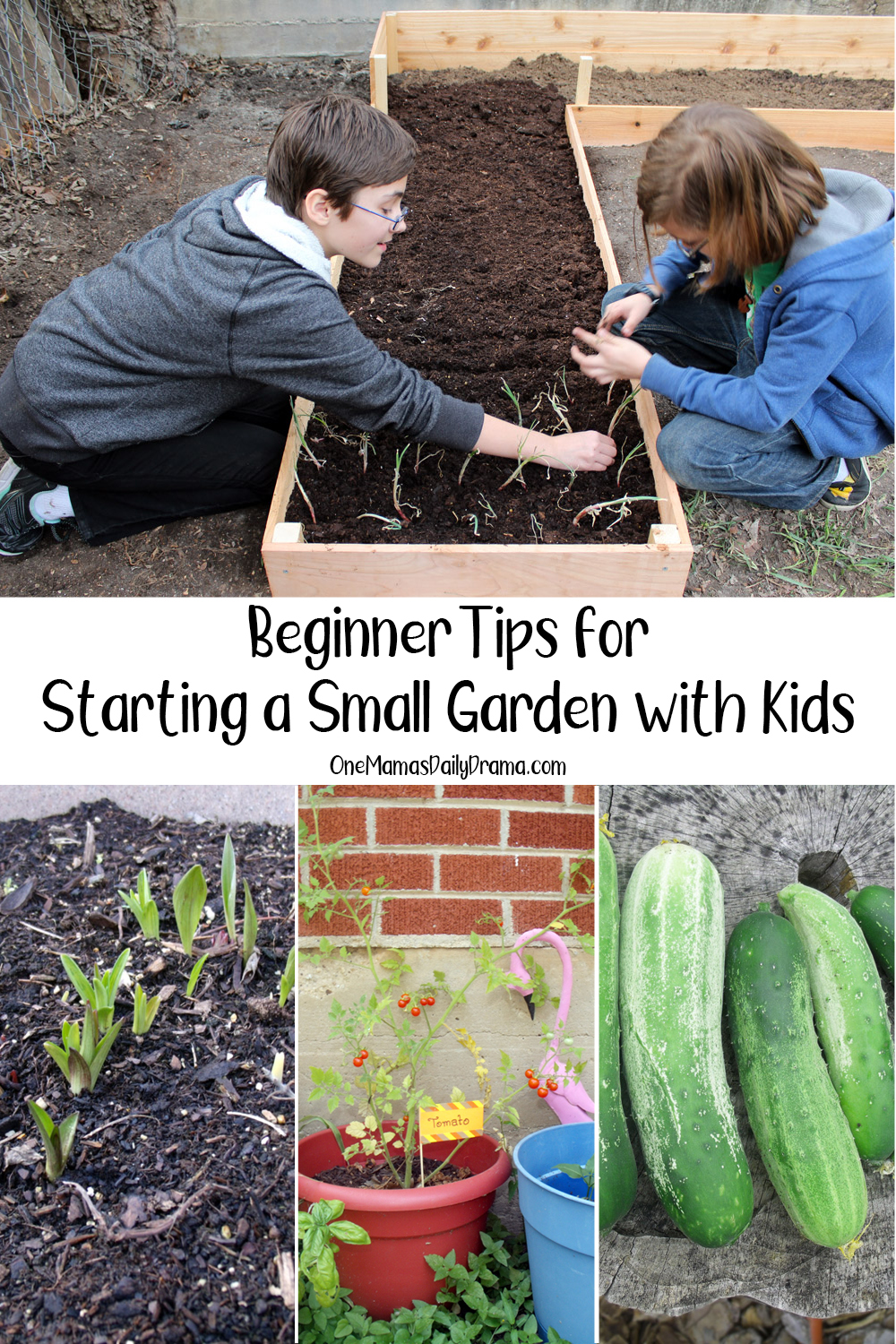 Collage of photos from this blog post with text overlay that reads "beginner tips for starting a small garden with kids."