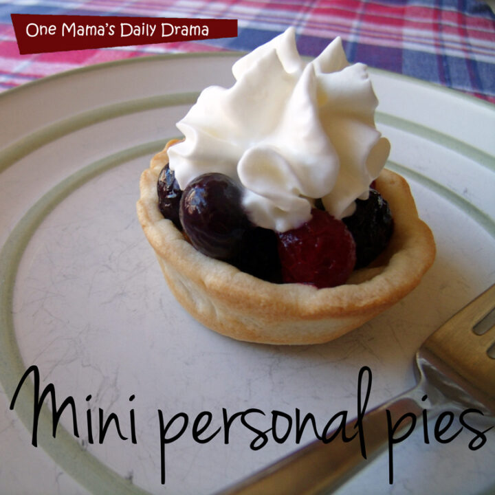 Choose Your Own (Pie) Adventure: mini personal pies | One Mama's Daily Drama