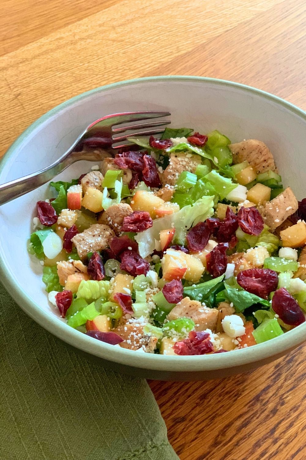 A bowl of salad with chicken, lettuce, apples, celery, dried cranberries, and feta cheese.