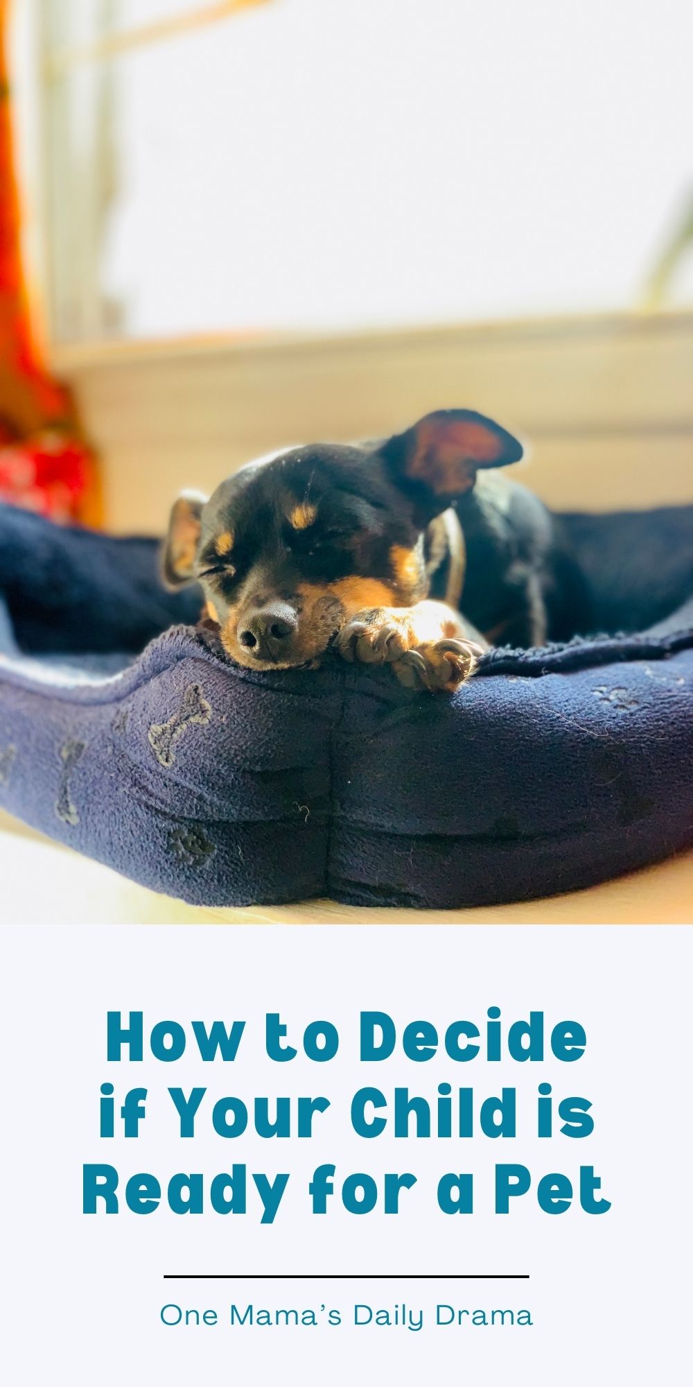 How to decide if your child is ready for a pet.