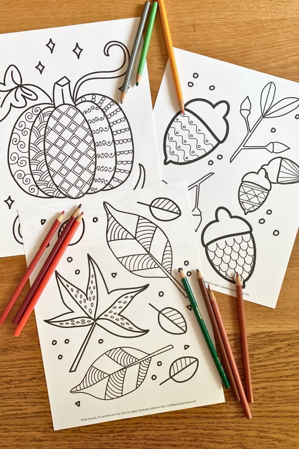 Fall zentangle coloring pages with leaves, a pumpkin, and acorns filled in with repeating patterns.