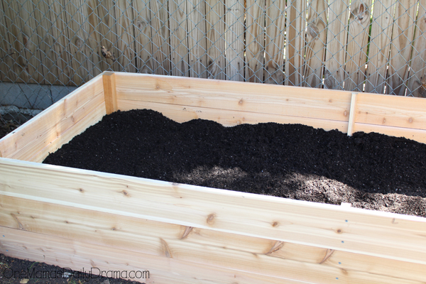 A garden bed filled with potting soil.