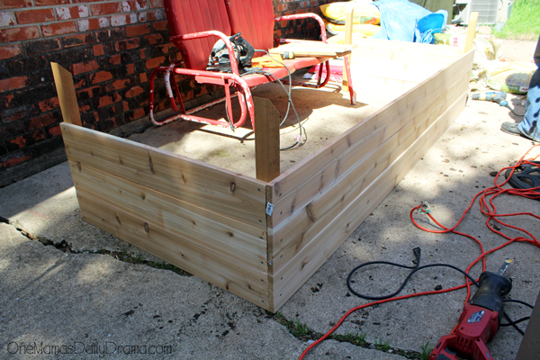 raised-garden-bed8