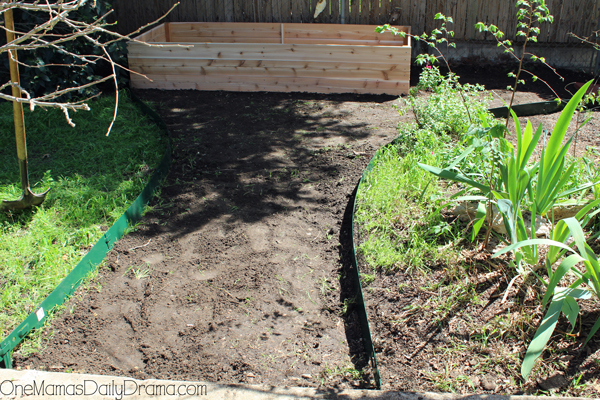 A dirt path cleared from a concrete porch to the cedar raised bed.
