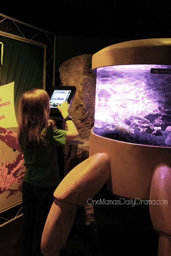 educational tablets at SEA LIFE Grapevine