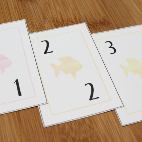 Image for Play Go Fish