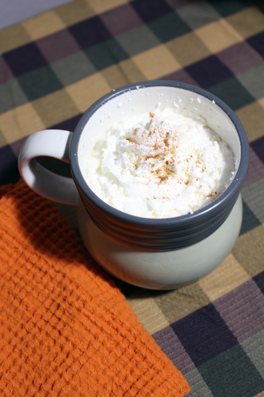 closeup of whipped cream sprinkled with cinnamon on top of a hot drink