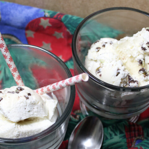 No-churn peppermint chocolate chip ice cream