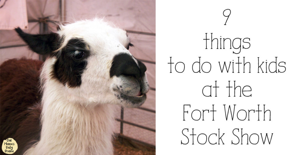 9 things to do with kids at the Fort Worth Stock Show