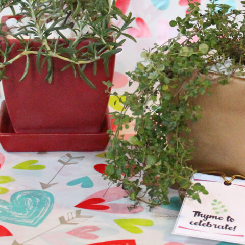 Image for Herb Pot Valentines Craft with Printable Cards