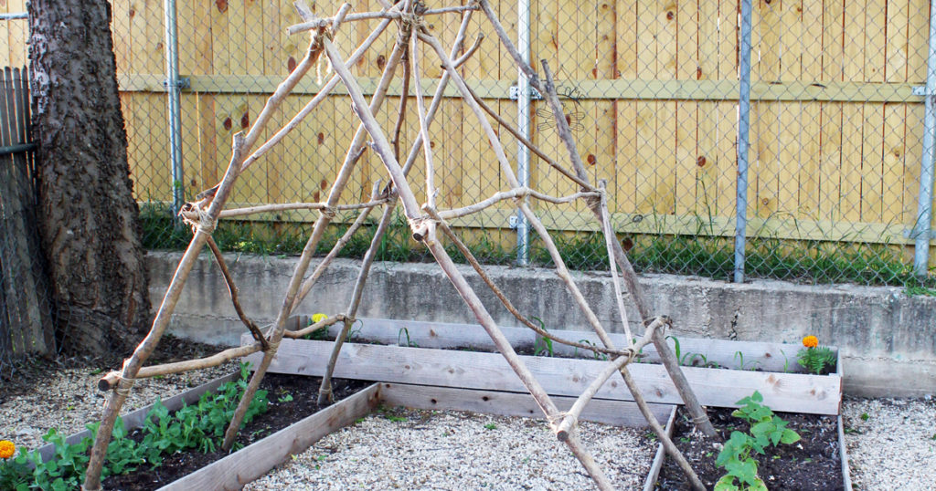 12 backyard gardening tips to try this summer: a dozen ideas for fun and easy backyard vegetables.