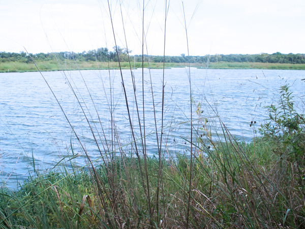 an unmanaged grassy area surrounds a blue lake