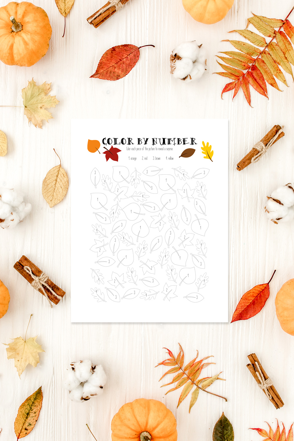 color by number with leaves in different shapes
