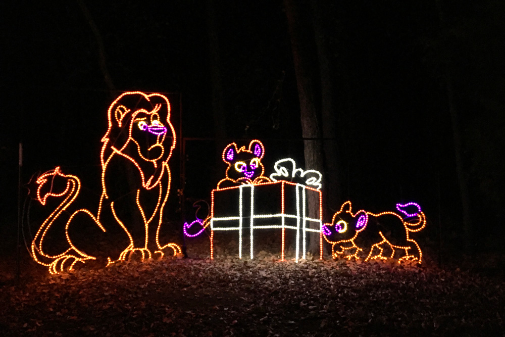 a light display showing a male lion and 2 cubs opening a Christmas gift