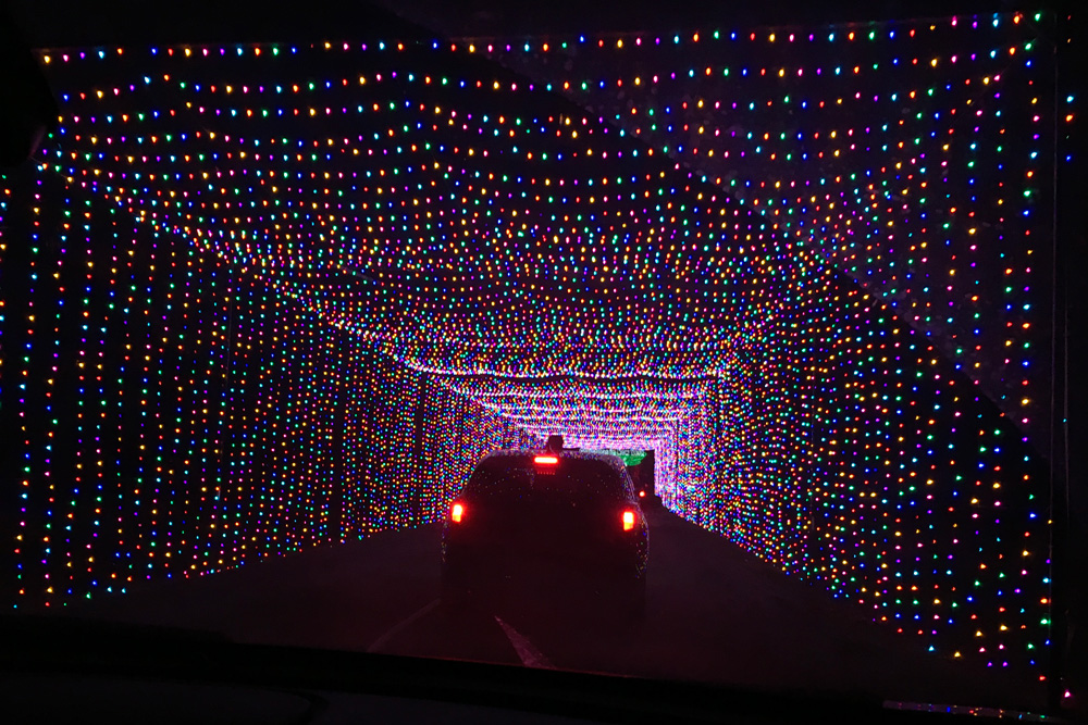 drive-through Christmas light tunnel
