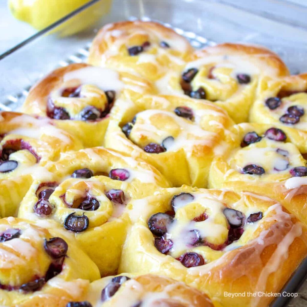 blueberry lemon sweet rolls from Beyond The Chicken Coop.