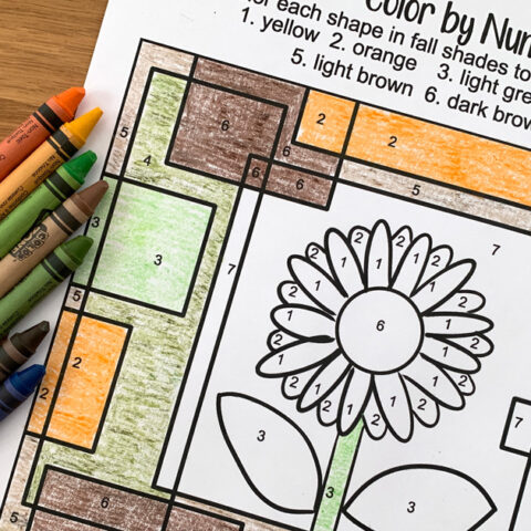 Image for Fall Color By Number