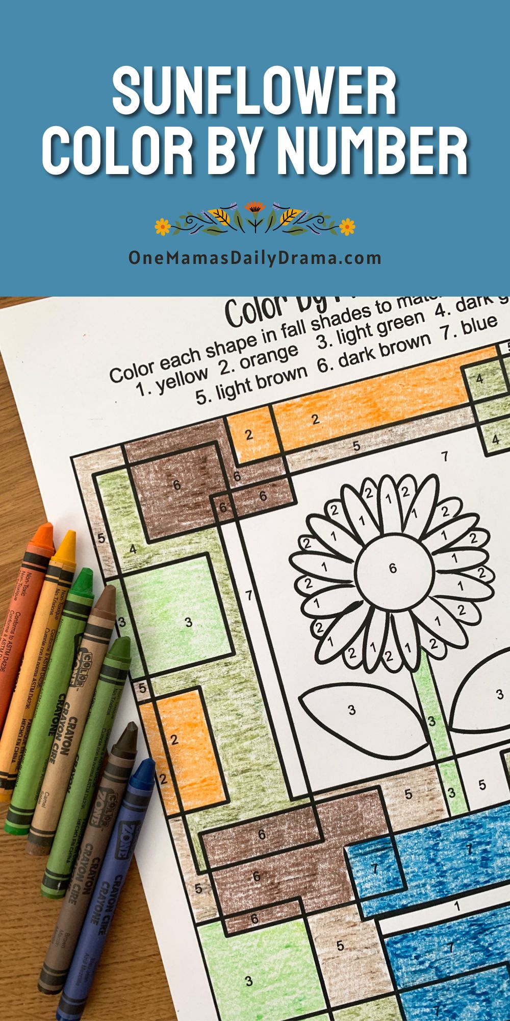 Sunflower color by number partially finished with crayons in brown, green, orange, and blue.