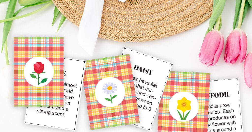 3 pair of flower facts flashcards with an illustrated flower and text.