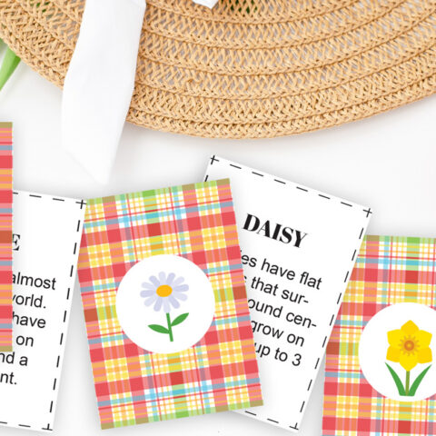 3 pair of flower facts flashcards with an illustrated flower and text.