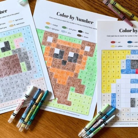 3 Star Wars color by number pages with baby Grogu, Wicket the ewok, and R2D2.