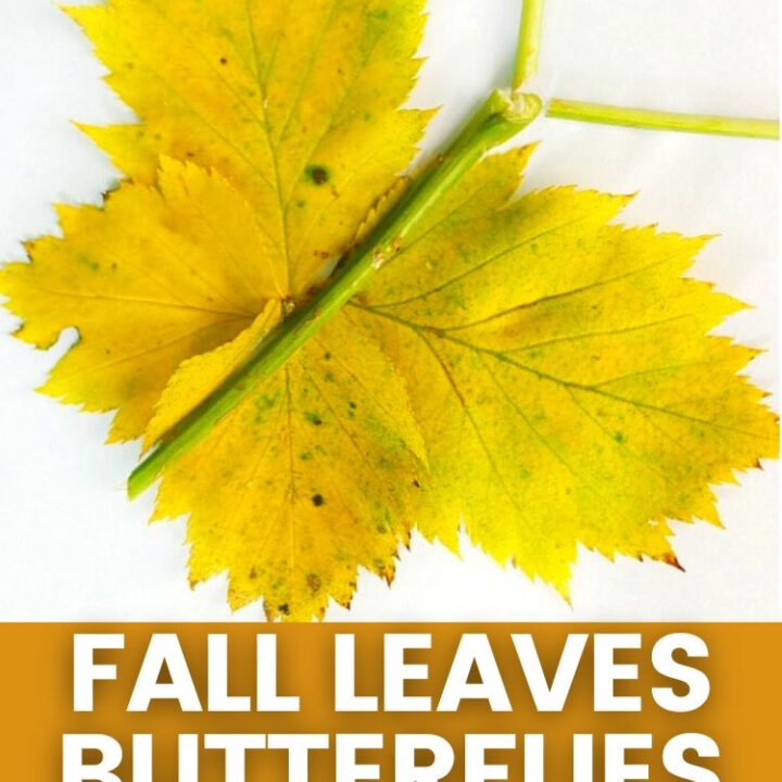 Image for Fall leaf butterflies