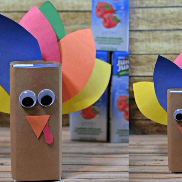 Image for Turkey juice box covers