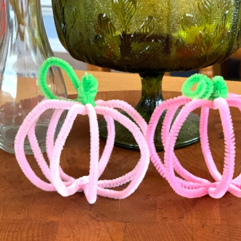 Pink pipe cleaner pumpkins with green stems.