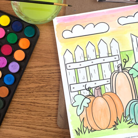 Pumpkin coloring page with 3 fall pumpkins in a pumpkin patch with a picket fence.