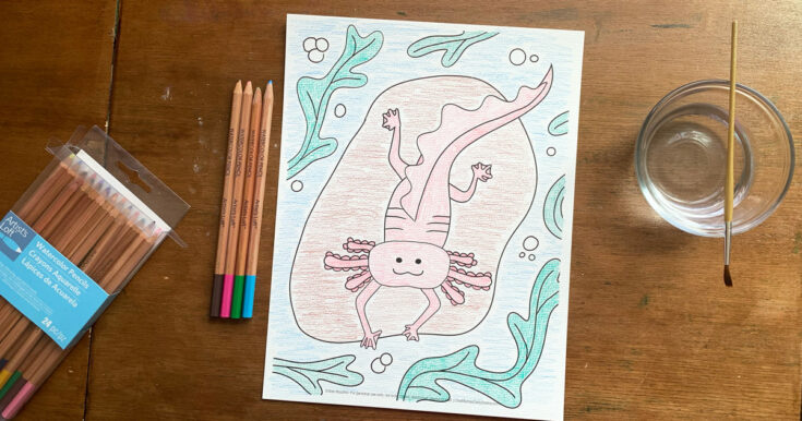 20 Cute Animal Coloring Pages