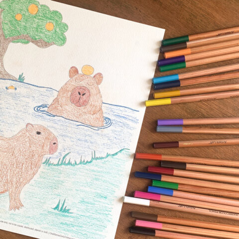 Capybara coloring page with a capy sitting under an orange tree and another swimming.