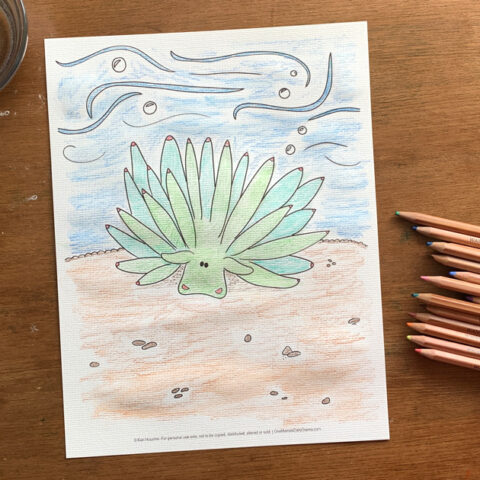 Leaf sheep coloring page with a green sea slug walking on the bottom of the ocean.