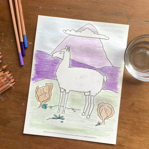 Llama coloring page with a white llama standing in a green field beside shrubs against a purple mountain background.