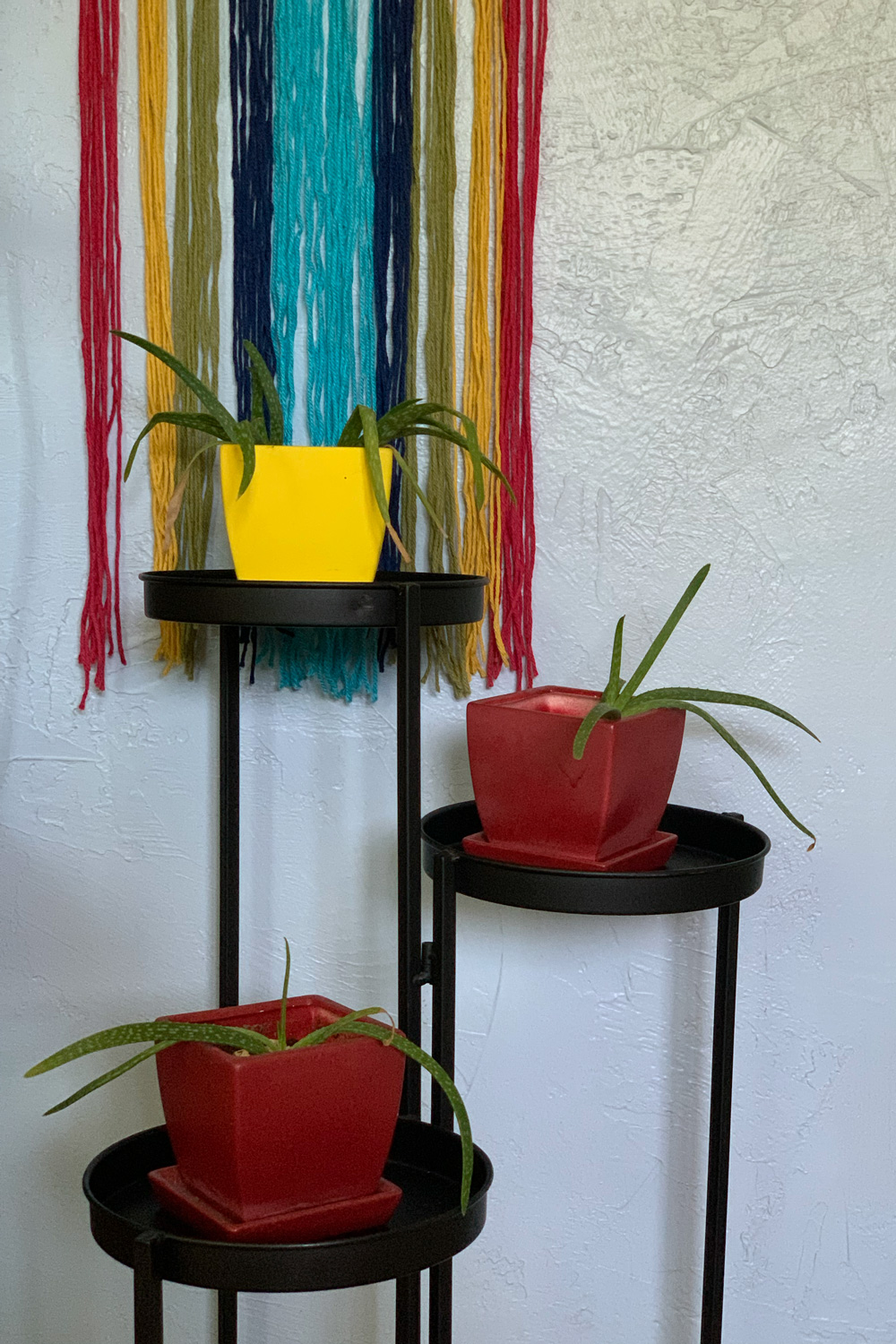 Yarn wall art hanging behind a plant stand and three red and yellow plant pots with aloe vera.