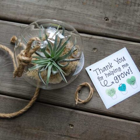 Image for Thank You For Helping Me Grow Teacher Card