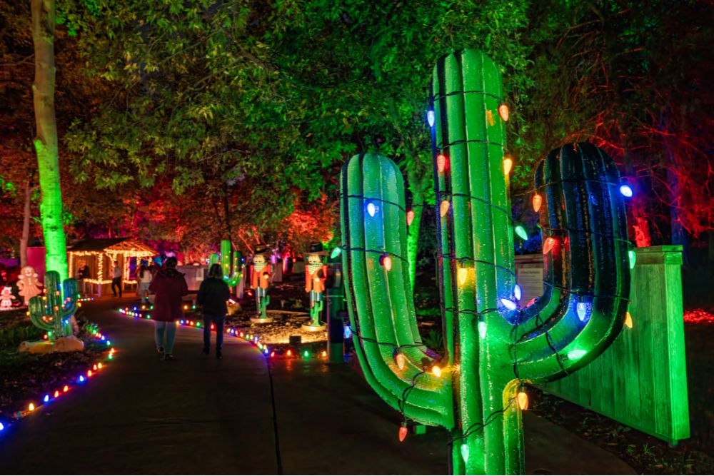 Faux cactus wrapped in Christmas lights along a lighted path in the Fort Worth Botanic Garden.
