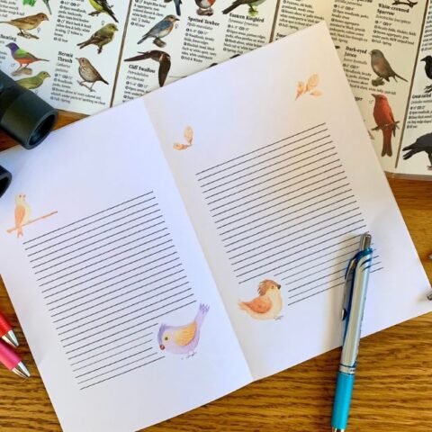Paper bird journal with watercolor illustrations and lined pages, surrounded by pens, binoculars, and a book of local birds.