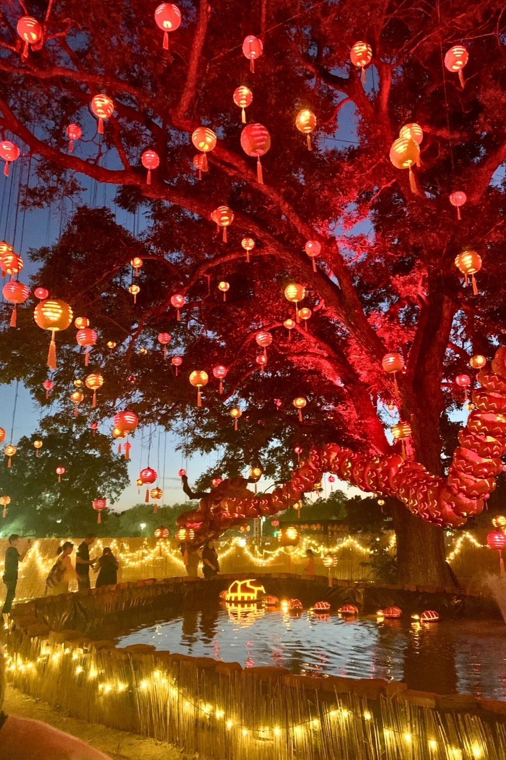 Red pumpkin lanterns hanging in a tree over a pond at the DFW fall festival Pumpkin Nights.