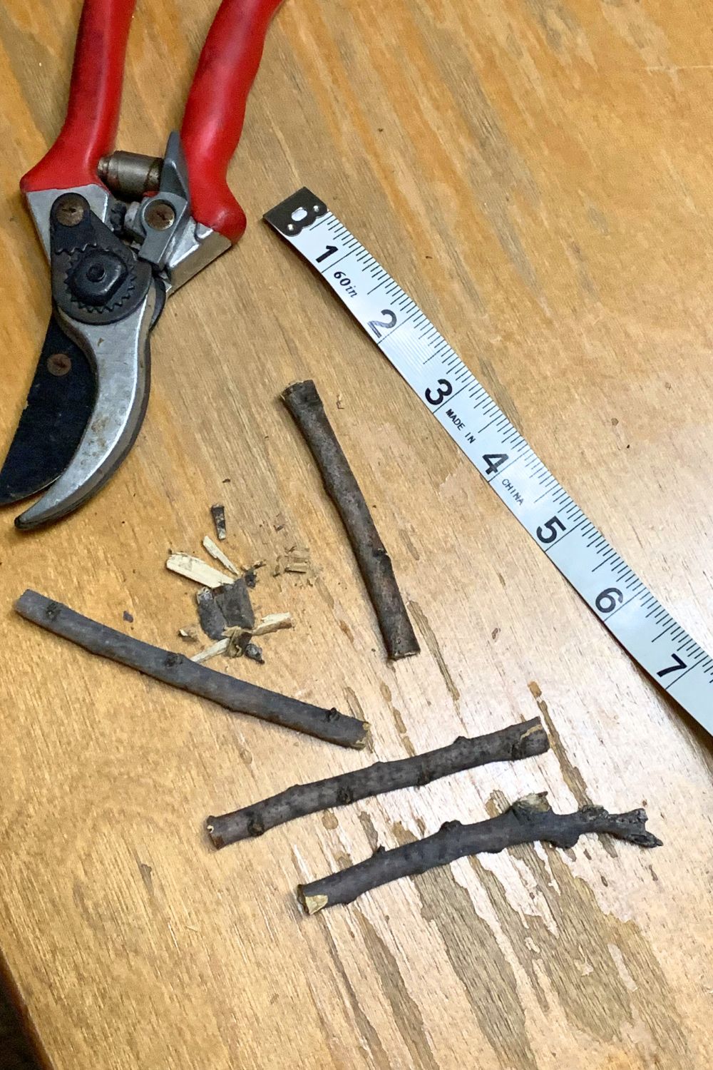 A pair of gardening clipper beside a ruler and several segments of a wood branch.