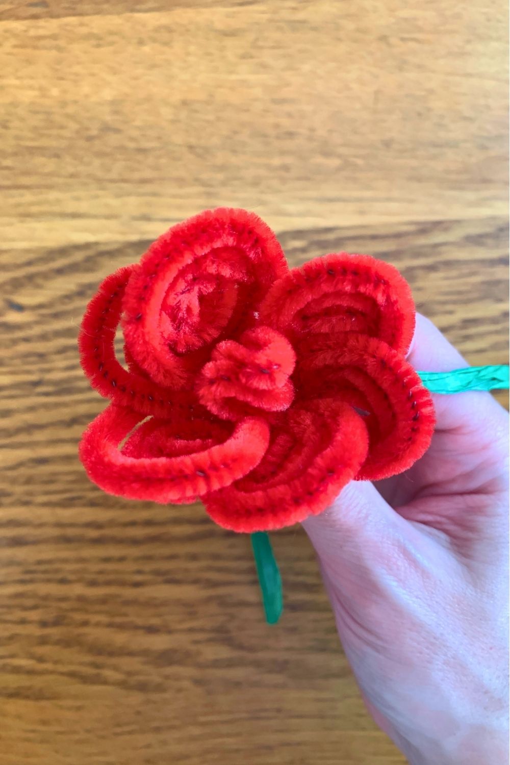 Overhead view of a red pipe cleaner rose with petals around a center cluster.
