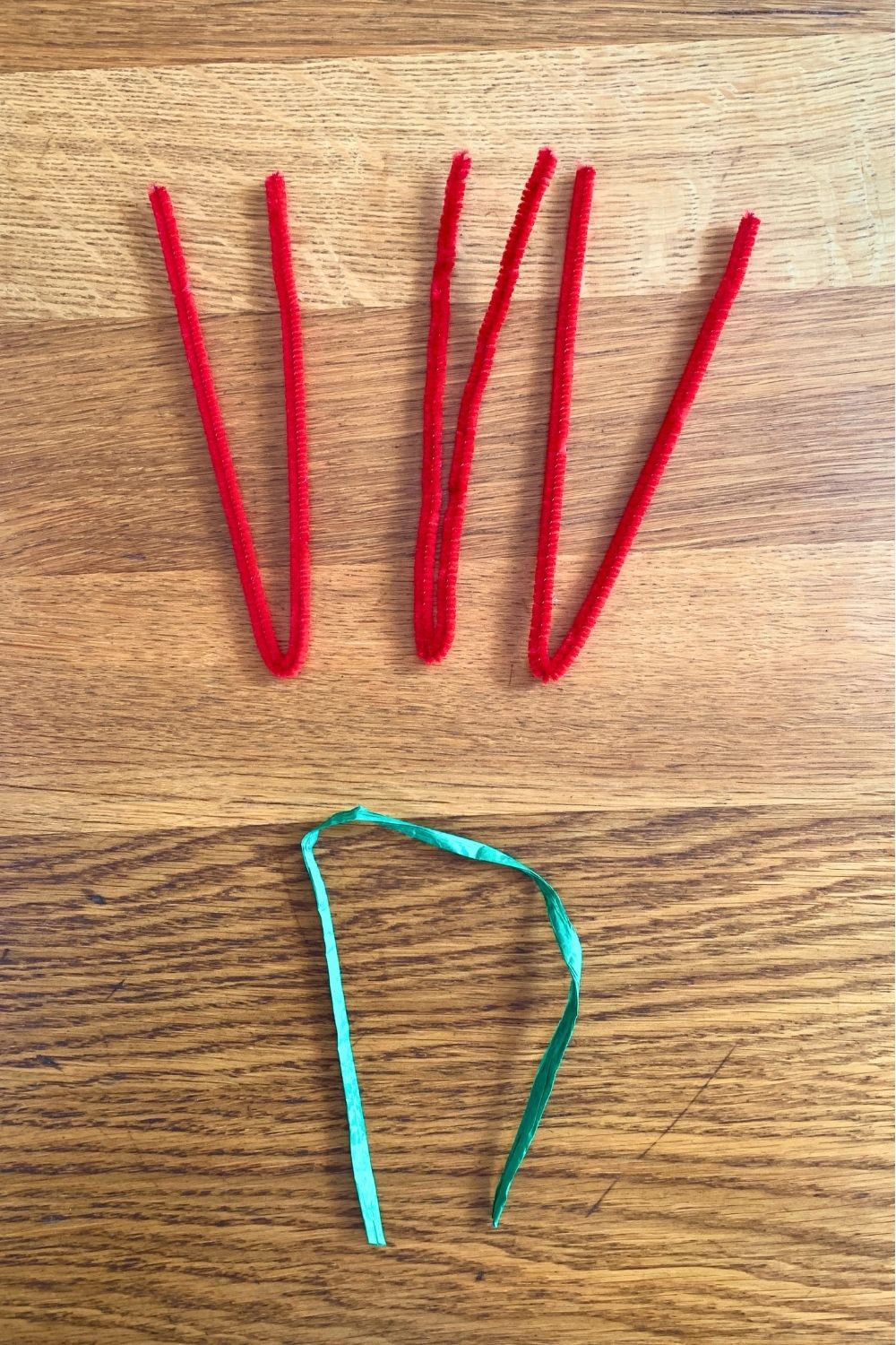Three red pipe cleaner folded in half beside a piece of green raffia.