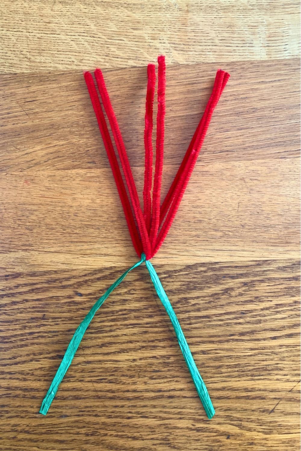 Raffia tied around creased pipe cleaners.