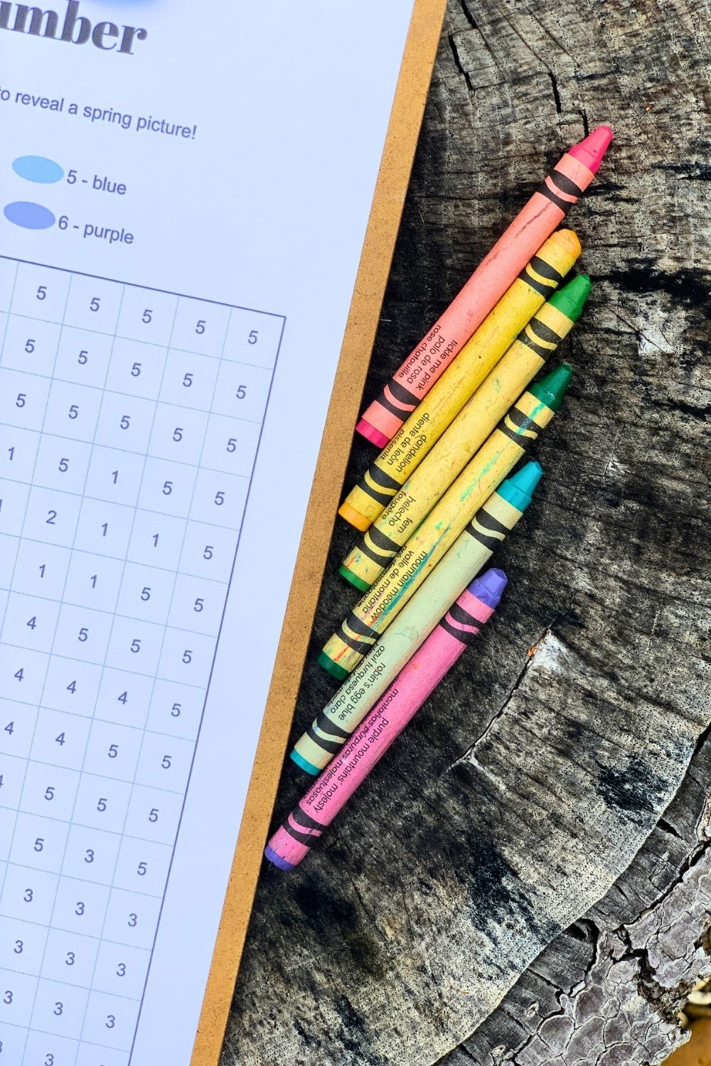 Closeup of Crayola crayons: tickle me pink, dandelion, fern, mountain meadow, robin's egg blue, and purple mountains majesty.