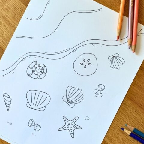 Beach coloring page printable with assorted seashells scattered over sand and waves washing in from a corner.