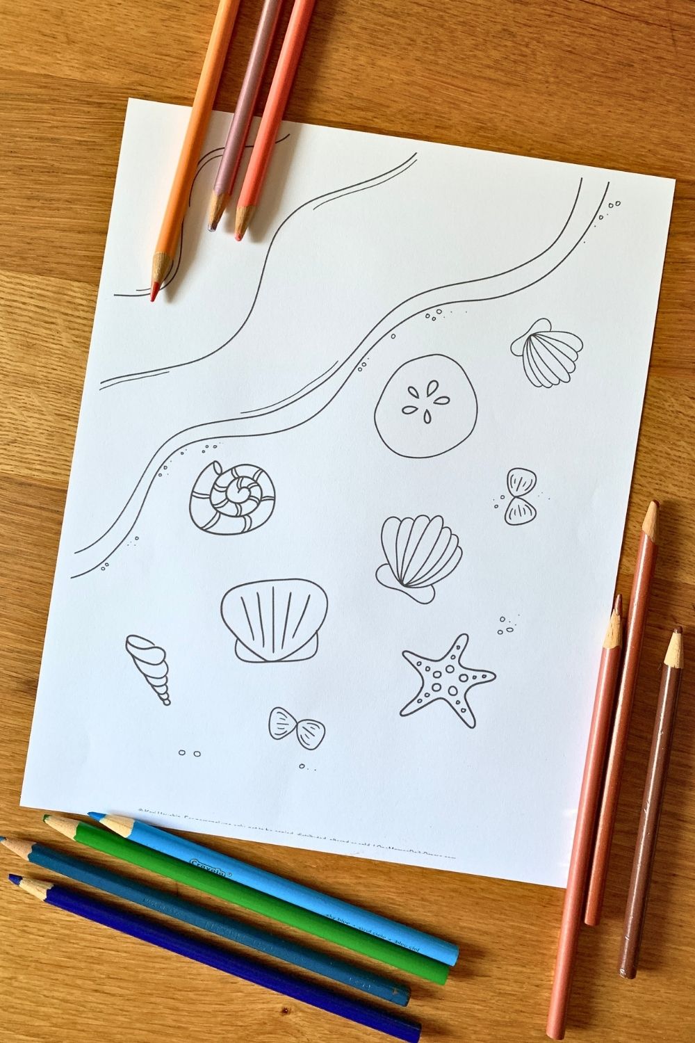 Beach coloring page printable with assorted seashells scattered over sand and waves washing in from a corner.