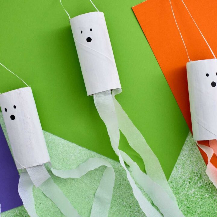 Image for DIY Toilet Paper Roll Ghost